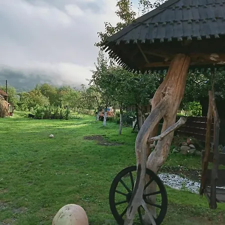 B&B Pension Bud