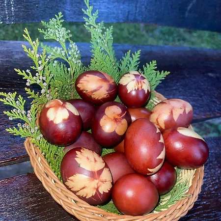 Pension Bud 2* Onceşti